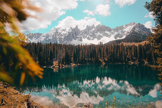 cristina-gottardi-GJ8ZQV7eGmU-unsplash